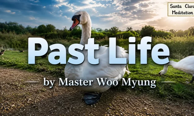 🎈 Past Life: Understanding Karma and the Present Moment | Master Woo Myung | Santa Clara Meditation