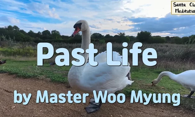 🎈 Past Life: Understanding Karma and the Present Moment | Master Woo Myung | Santa Clara Meditation