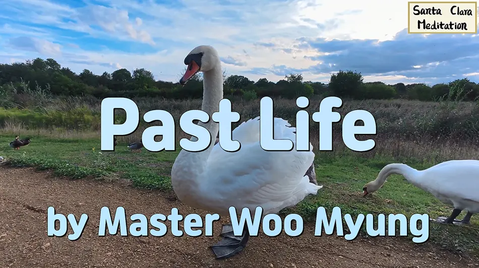 🎈 Past Life: Understanding Karma and the Present Moment | Master Woo Myung | Santa Clara Meditation