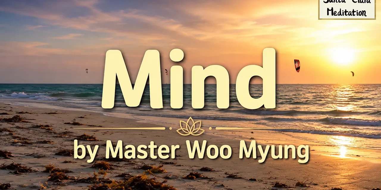 ๐ผ Mind: original mind human mind truth karma enlightenment | Master Woo Myung | Santa Clara Meditation