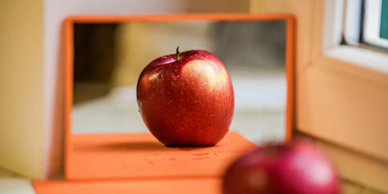 🔆 What Is the Mind?: true mind false mind memory body truth | Master Woo Myung | Santa Clara Meditation