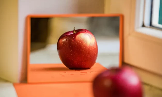 🔆 What Is the Mind?: true mind false mind memory body truth | Master Woo Myung | Santa Clara Meditation