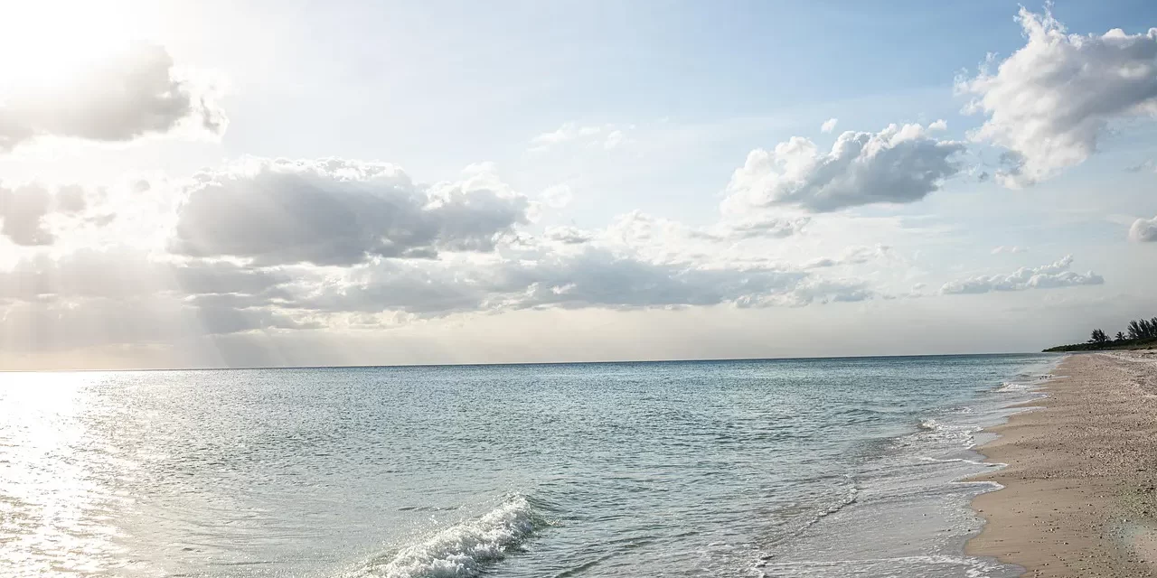 🌍 How to Become Truth and Why One Must Not Fail to Reach Truth : Truth Universe Soul Spirit Rebirth Eternal Life Heaven | Master Woo Myung | Santa Clara Meditation