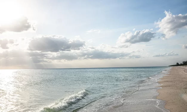 🌍 How to Become Truth and Why One Must Not Fail to Reach Truth : Truth Universe Soul Spirit Rebirth Eternal Life Heaven | Master Woo Myung | Santa Clara Meditation