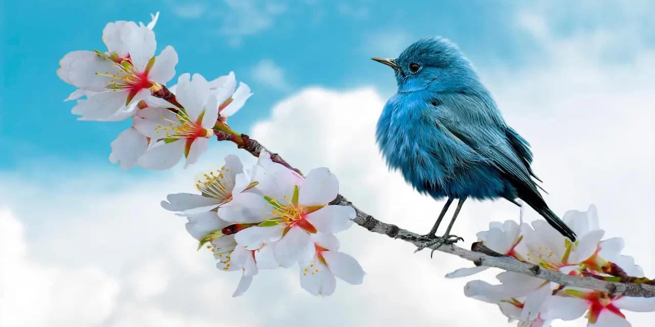 🌞 You Can Achieve and Know Everything in the True World: era of truth infinite possibilities | Master Woo Myung | Santa Clara Meditation