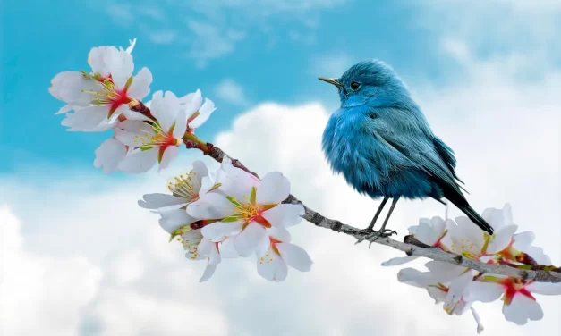 🌞 You Can Achieve and Know Everything in the True World: era of truth infinite possibilities | Master Woo Myung | Santa Clara Meditation