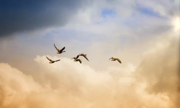 🌏 Stop Living In This Land, Go To The Everlasting World Of Happiness, Live There Forever, Words of Truth – Preface: human completion truth universe rebirth | Master Woo Myung | Santa Clara Meditation