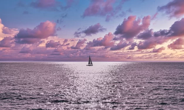 🏁 REACHING THE FINISH LINE IN ONE’S PURSUIT OF TRUTH: THE EIGHT LEVELS OF ENLIGHTENMENT AND RECEIVING THE SEAL OF GOD | MASTER WOO MYUNG | SANTA CLARA MEDITATION