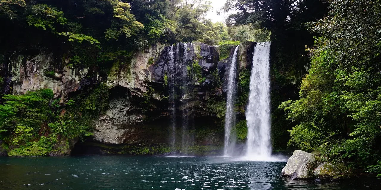🌿 How to Cleanse the Mind: enlightenment stages universe god buddha truth | Master Woo Myung | Santa Clara Meditation