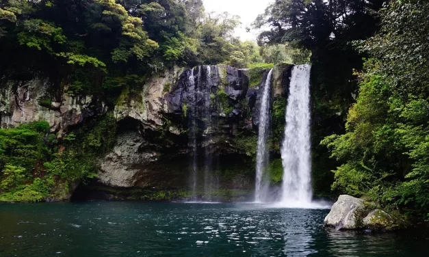 🌿 How to Cleanse the Mind: enlightenment stages universe god buddha truth | Master Woo Myung | Santa Clara Meditation