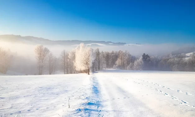 🙏 TRUE FAITH: CLEANSING THE MIND, REPENTANCE, AND BECOMING ONE WITH GOD AND BUDDHA AS TRUTH | MASTER WOO MYUNG | SANTA CLARA MEDITATION