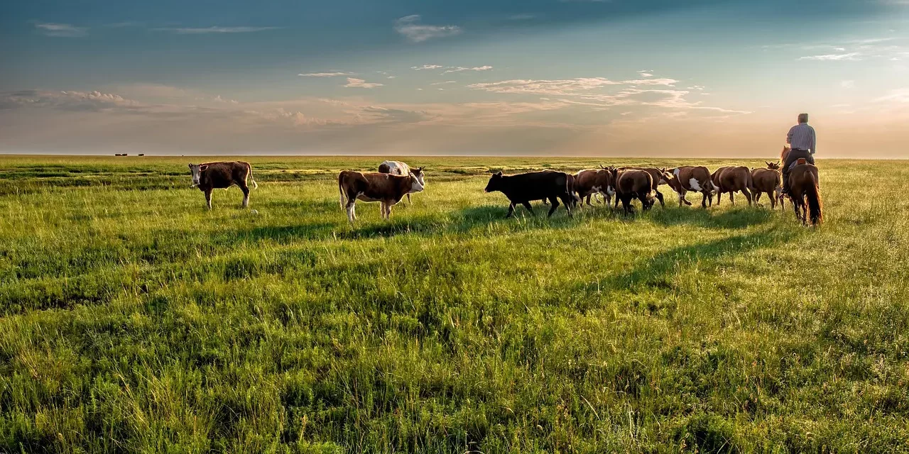 🐂 Cattle: searching truth wisdom discipline | Master Woo Myung | Santa Clara Meditation