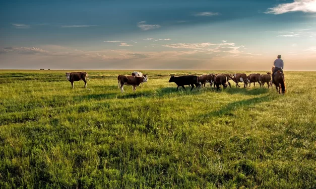 🐂 Cattle: searching truth wisdom discipline | Master Woo Myung | Santa Clara Meditation