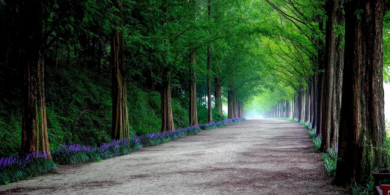 🌸 COME TO TRUTH: BECOME HEAVEN AND LIVE ETERNALLY | MASTER WOO MYUNG | SANTA CLARA MEDITATION