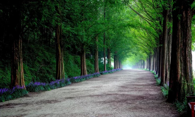 🌸 COME TO TRUTH: BECOME HEAVEN AND LIVE ETERNALLY | MASTER WOO MYUNG | SANTA CLARA MEDITATION