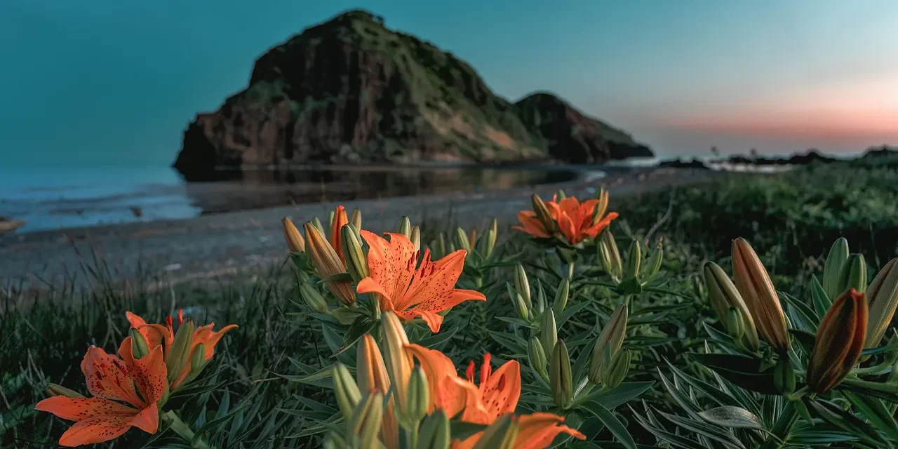 🌍 The Way to Become a Person In Heaven While Living, Words of Truth – Preface : True False Human Completion Rebirth Truth Eternal Life | Master Woo Myung | Santa Clara Meditation