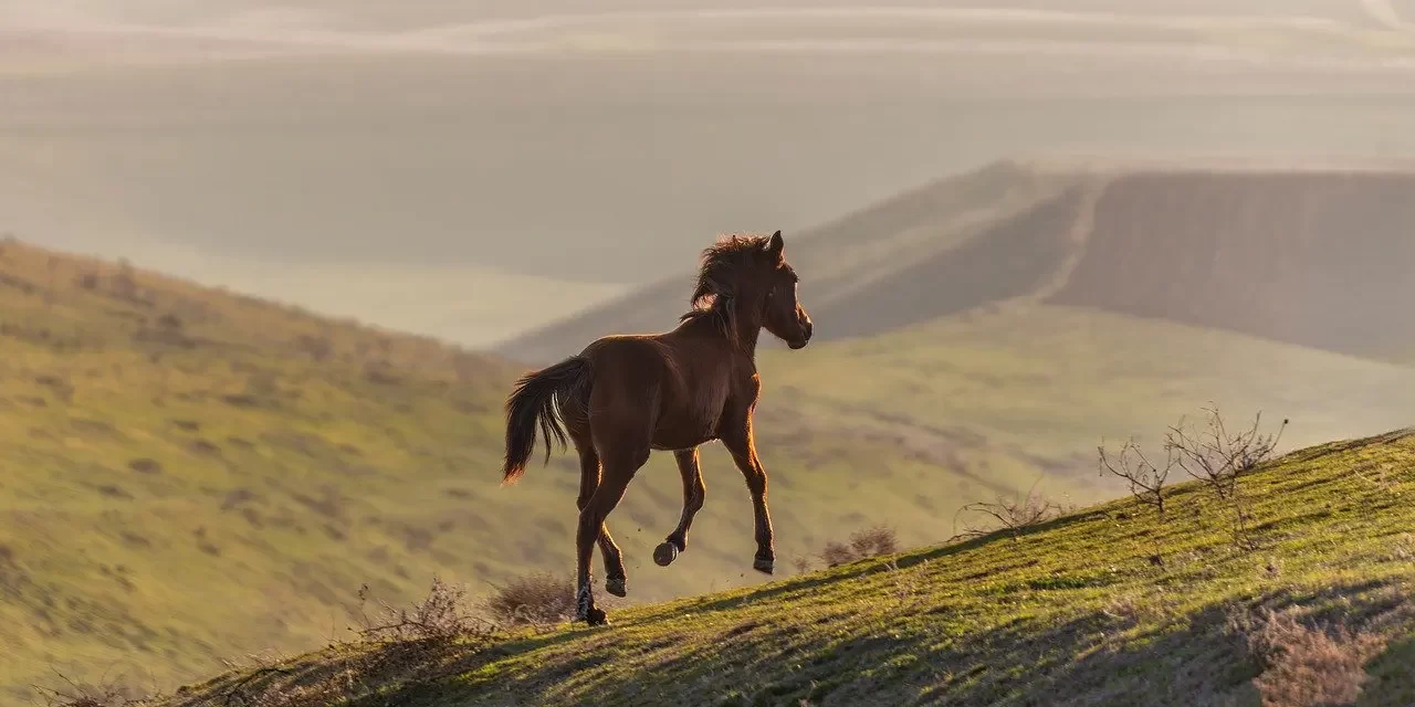 🌌 How to Get to the True World : True World Land of Truth Method | Master Woo Myung | Santa Clara Meditation