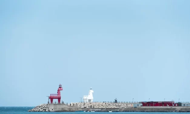 🌌 What Is the Master of the Universe?: God Buddha Haneol-nim origin truth creator | Master Woo Myung | Santa Clara Meditation