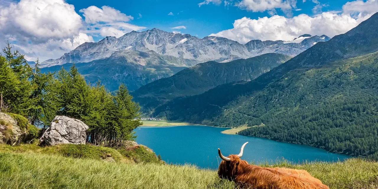 ✒️ A Poem from the Mind : Poem Mind Fog Emptiness Life Futility Truth | Master Woo Myung | Santa Clara Meditation