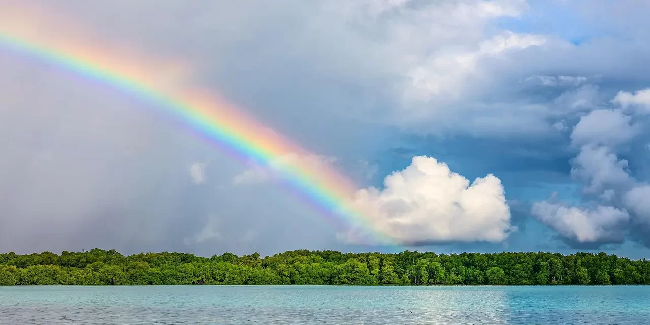 🌱 Self–Discovery: true way truth finding self | Master Woo Myung | Santa Clara Meditation