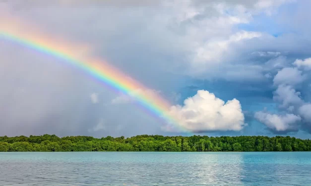 🌱 Self–Discovery: true way truth finding self | Master Woo Myung | Santa Clara Meditation