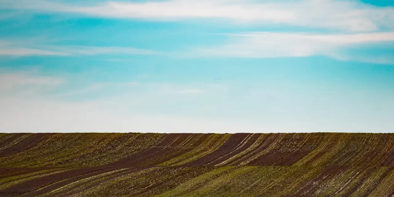 🧭 The Mind : Mind Heaven Earth Creation Foundation Existence Thought | Master Woo Myung | Santa Clara Meditation