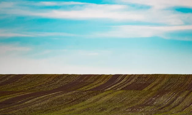 🧭 The Mind : Mind Heaven Earth Creation Foundation Existence Thought | Master Woo Myung | Santa Clara Meditation