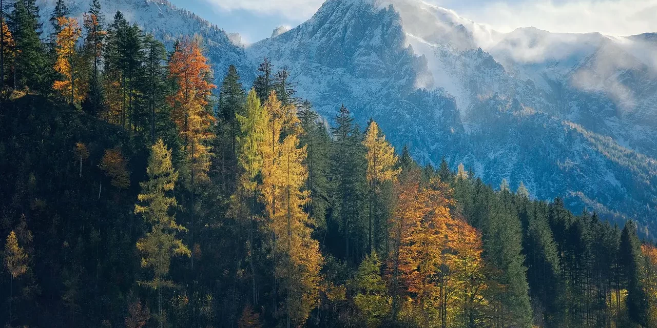 🍃 The Age of Nature’s Flow: universal order true love human completion | Master Woo Myung | Santa Clara Meditation