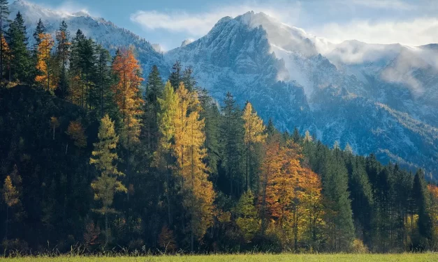 🍃 The Age of Nature’s Flow: universal order true love human completion | Master Woo Myung | Santa Clara Meditation