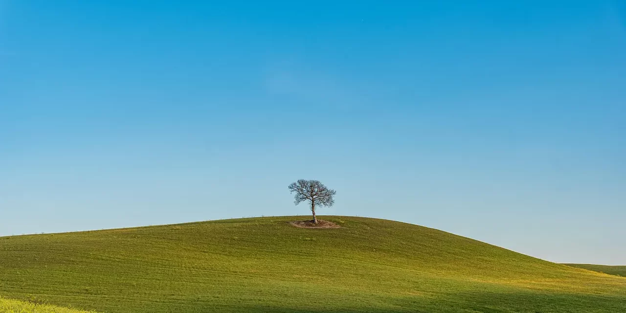 🌞 What Is the Mind? : Mind Spirit Soul Truth God Buddha Allah | Master Woo Myung | Santa Clara Meditation