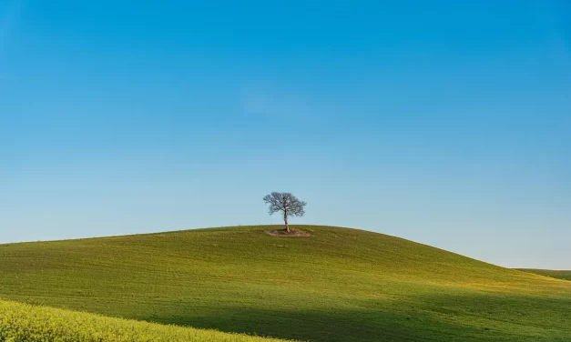 🌞 What Is the Mind? : Mind Spirit Soul Truth God Buddha Allah | Master Woo Myung | Santa Clara Meditation