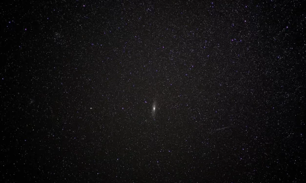 🌠 Stars: nature’s flow order existence | Master Woo Myung | Santa Clara Meditation