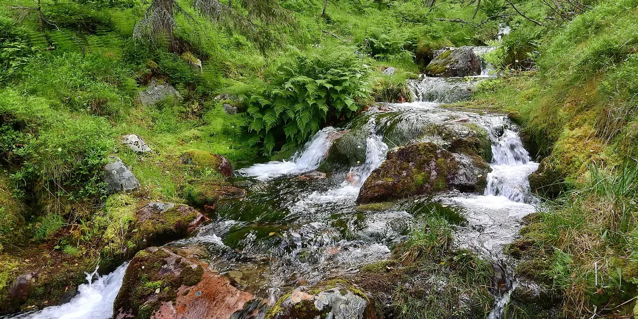 🌊 WHAT IS ‘NATURE’S FLOW’?: LIVING IN UNIVERSAL ORDER, MOVING FORWARD LIKE WATER, AND REACHING COMPLETION | MASTER WOO MYUNG | SANTA CLARA MEDITATION