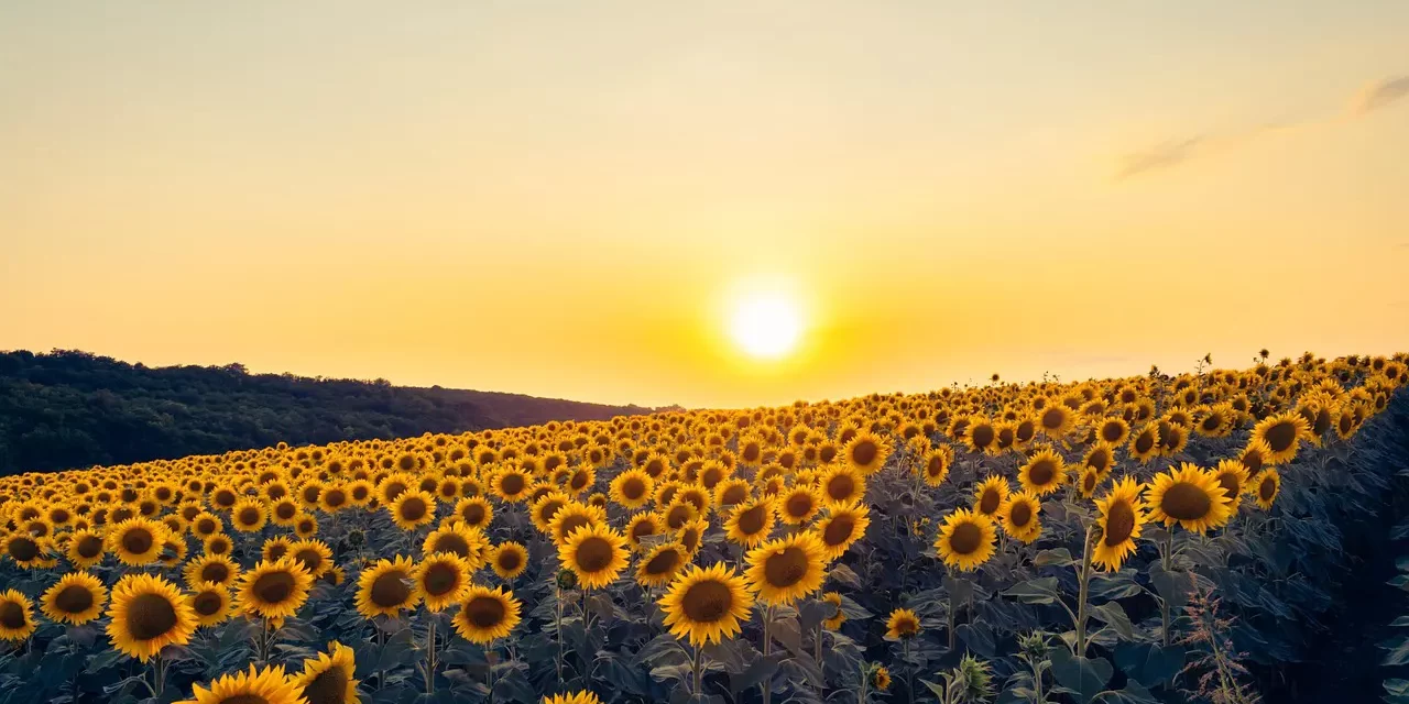 🌍 Heaven’s Formula For Saving The World – Preface : World Heaven’s Providence Mind Truth Peace Human Completion | Master Woo Myung | Santa Clara Meditation