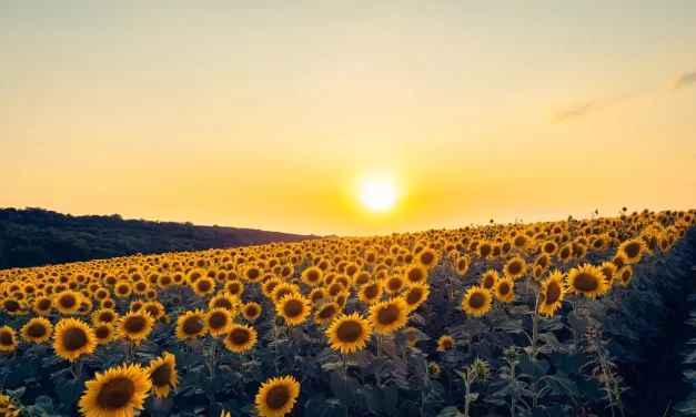 🌍 Heaven’s Formula For Saving The World – Preface : World Heaven’s Providence Mind Truth Peace Human Completion | Master Woo Myung | Santa Clara Meditation