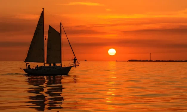 ⛵ Sailboat: loneliness ignorance detachment | Master Woo Myung | Santa Clara Meditation