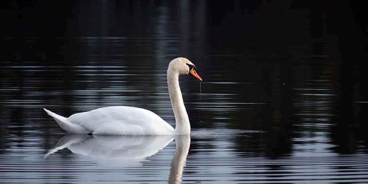 🌞 What Is the Virtue of Yin? : Yin Yang Virtue Life Blessings Ancestors | Master Woo Myung | Santa Clara Meditation