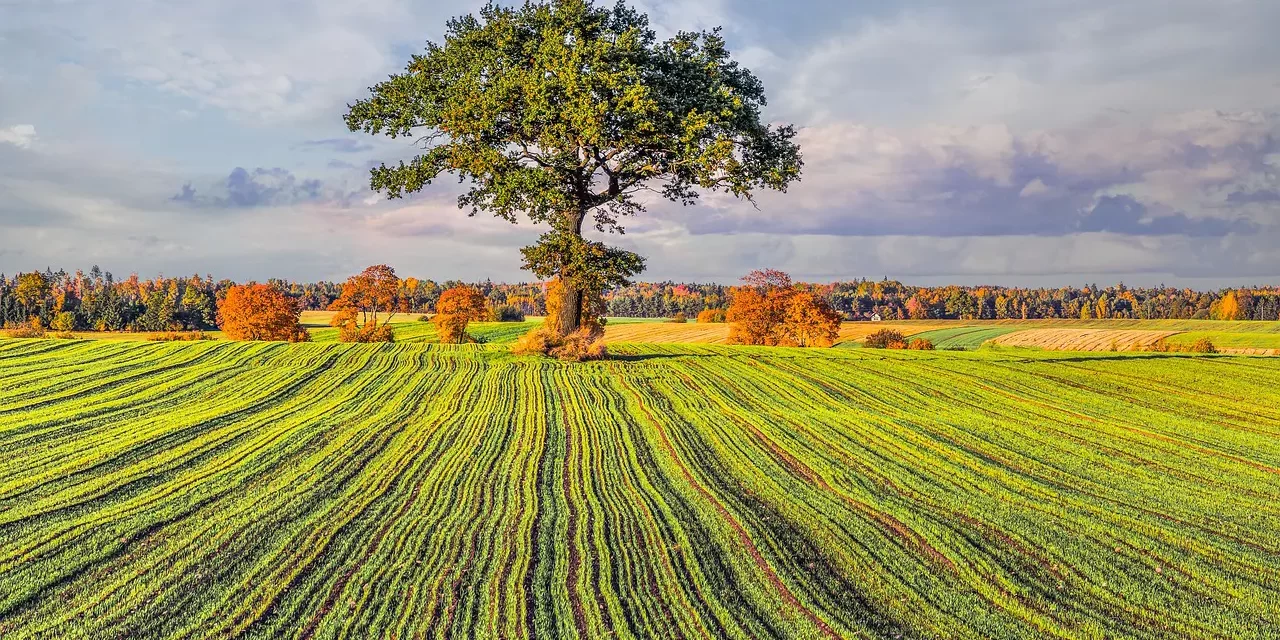🌟 ONE MUST BE BORN IN ETERNAL HEAVEN WHILE ALIVE TO CONTINUE LIVING THERE AFTER DEATH | MASTER WOO MYUNG | SANTA CLARA MEDITATION