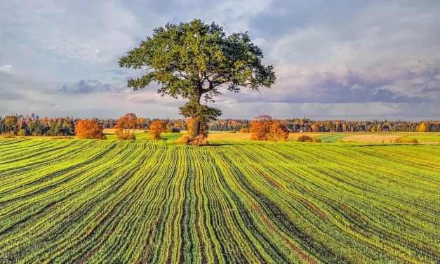 🌟 ONE MUST BE BORN IN ETERNAL HEAVEN WHILE ALIVE TO CONTINUE LIVING THERE AFTER DEATH | MASTER WOO MYUNG | SANTA CLARA MEDITATION