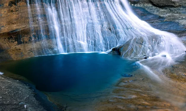 💧 WHEN ONE DRINKS THE WATER OF LIFE, HIS PAST SELF IS FORGOTTEN: BECOMING TRUTH AND THE ENERGY OF THE UNIVERSE | MASTER WOO MYUNG | SANTA CLARA MEDITATION