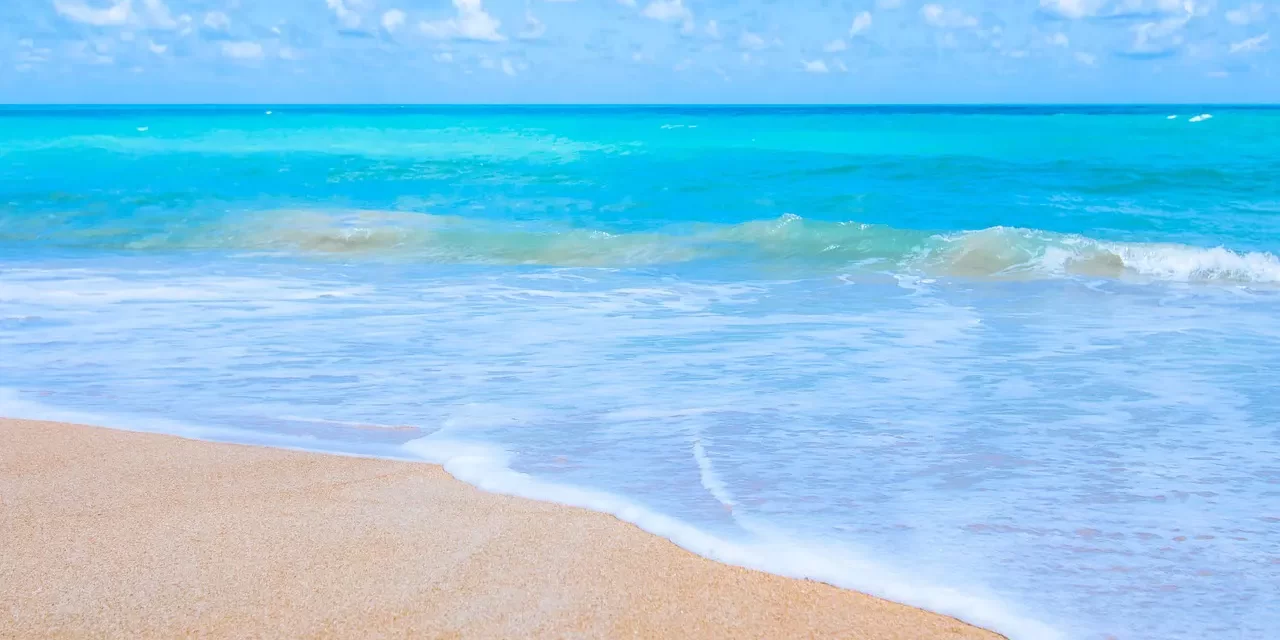 🌍 The Way Forward for Mankind: toward oneness through repentance | Master Woo Myung | Santa Clara Meditation