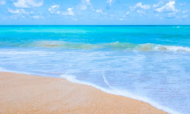 🌍 The Way Forward for Mankind: toward oneness through repentance | Master Woo Myung | Santa Clara Meditation