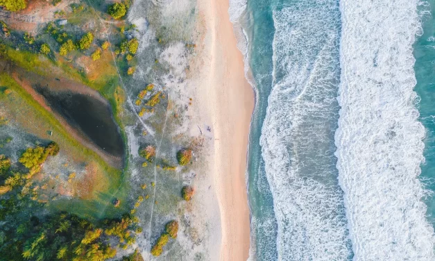 🌟 I WANT TO FIND MY TRUE SELF: DISCARDING THE FALSE MIND WORLD AND AWAKENING TO THE SPIRIT AND SOUL OF THE UNIVERSE | MASTER WOO MYUNG | SANTA CLARA MEDITATION