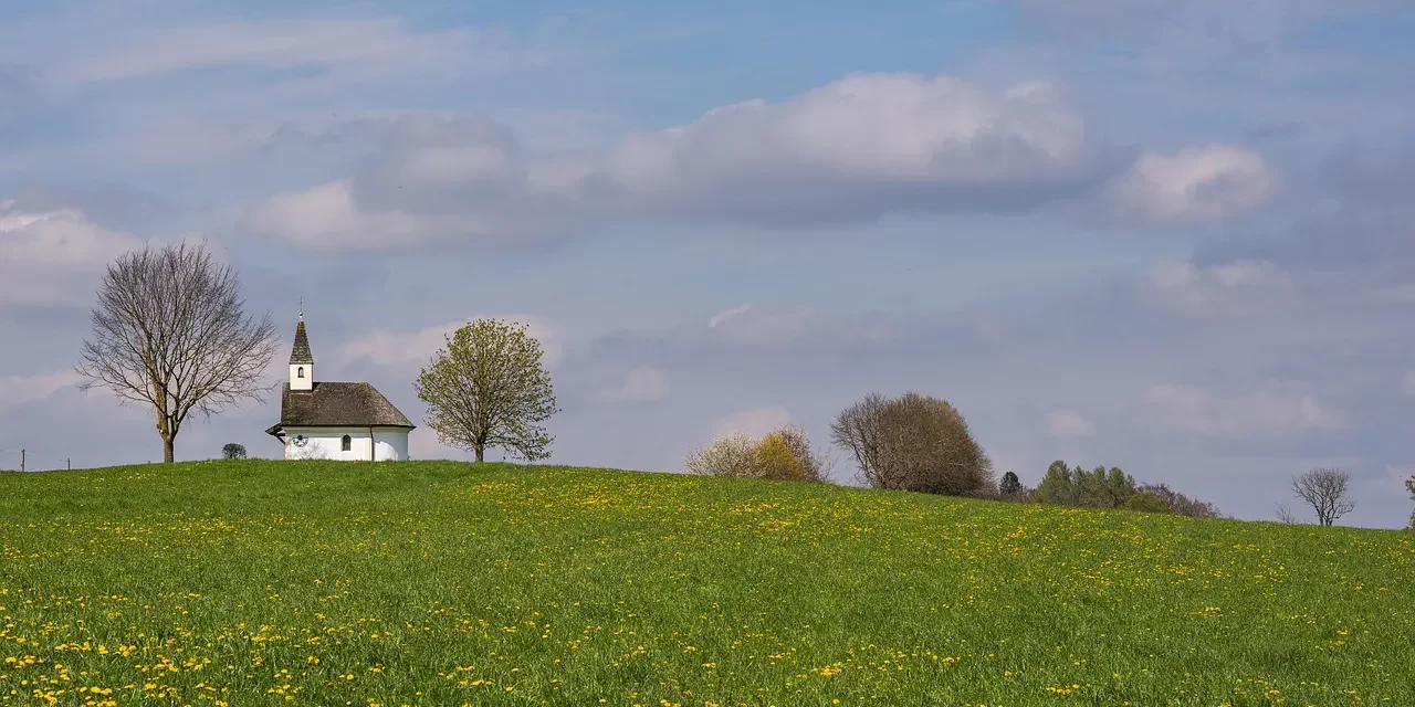 🕊️ What Is Religion?: Returning to the True Teaching of Truth | Master Woo Myung | Santa Clara Meditation