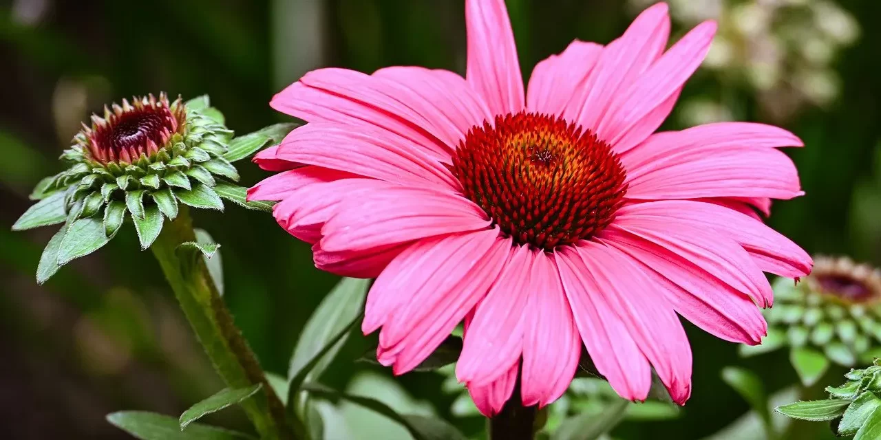 🌌 When One’s Consciousness Becomes That of Truth: The Mind of the Infinite Universe | Master Woo Myung | Santa Clara Meditation