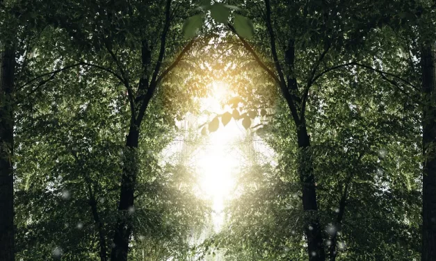 💞 HUSBAND AND WIFE: TRUE ONENESS BEYOND EXPECTATIONS, POSSESSION, AND ATTACHMENT | MASTER WOO MYUNG | SANTA CLARA MEDITATION