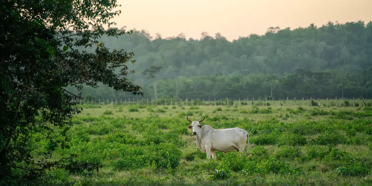 🌙 SOLITUDE I: WALKING ALONE IN SILENCE AS ONE FROM HEAVEN UNKNOWN TO THE WORLD | MASTER WOO MYUNG | SANTA CLARA MEDITATION