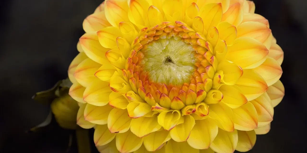 🌠 DO YOU KNOW WHERE YOU WILL GO AFTER YOU DIE? THE TRUTH ABOUT HEAVEN, HELL, AND ETERNAL LIFE | MASTER WOO MYUNG | SANTA CLARA MEDITATION