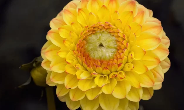 🌠 DO YOU KNOW WHERE YOU WILL GO AFTER YOU DIE? THE TRUTH ABOUT HEAVEN, HELL, AND ETERNAL LIFE | MASTER WOO MYUNG | SANTA CLARA MEDITATION