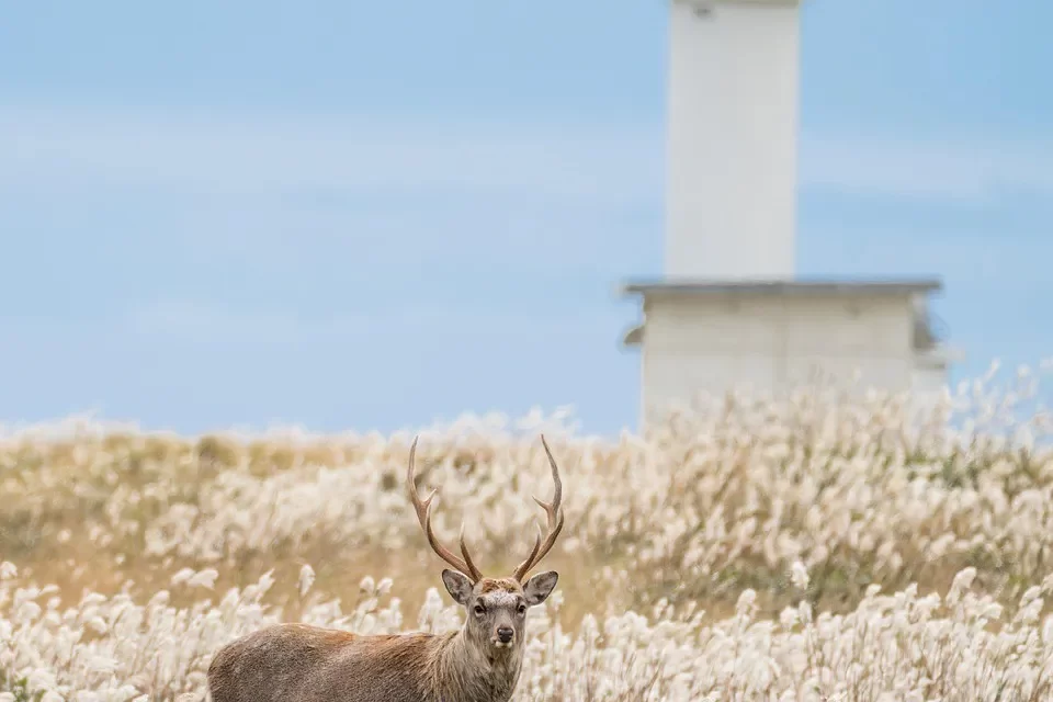 🌺 People See Outward Appearances but Truth Sees the Inner Heart | Master Woo Myung | Santa Clara Meditation